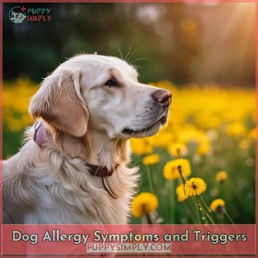 Dog Allergy Symptoms and Triggers