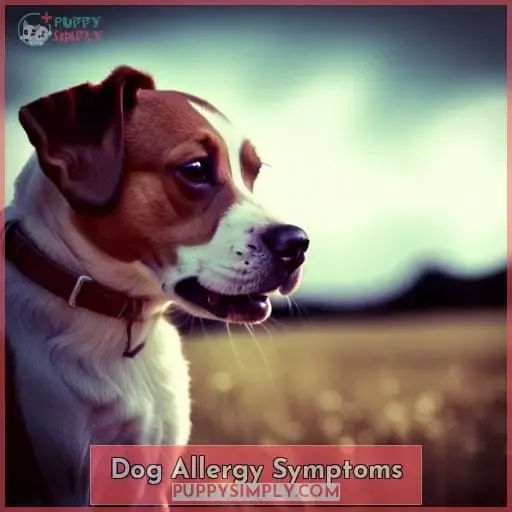 Dog Allergy Symptoms