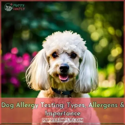 dog allergy test