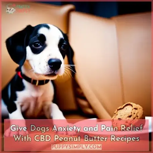 dog cbd peanut butter