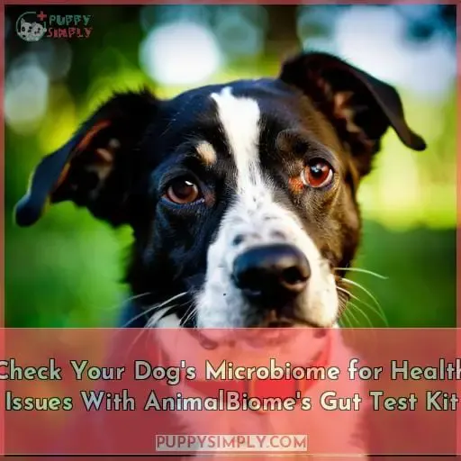 dog microbiome gut health test