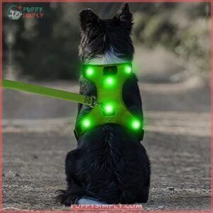DOMIGLOW Light Up Dog Harness B07CGN4ZFG