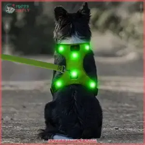 DOMIGLOW Light Up Dog Harness