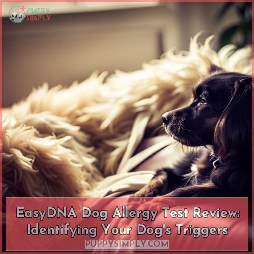 EasyDNA Dog Allergy Test Review Identifying Your Dog's Triggers