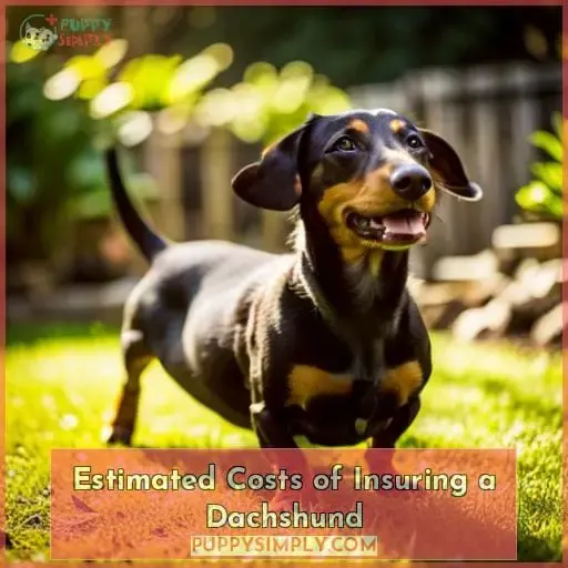 Estimated Costs of Insuring a Dachshund
