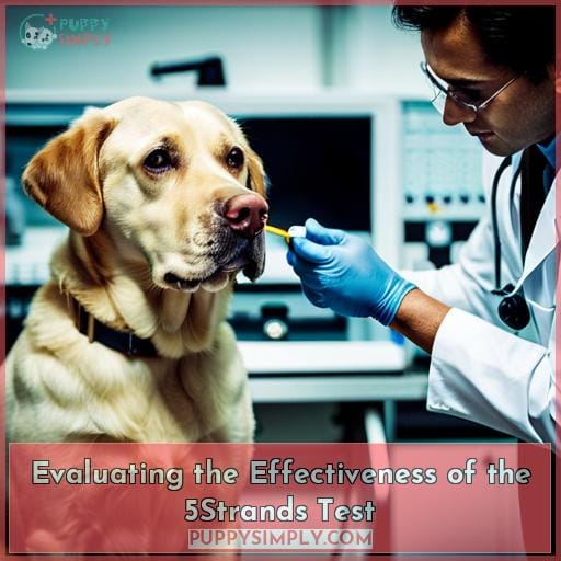 Evaluating the Effectiveness of the 5Strands Test