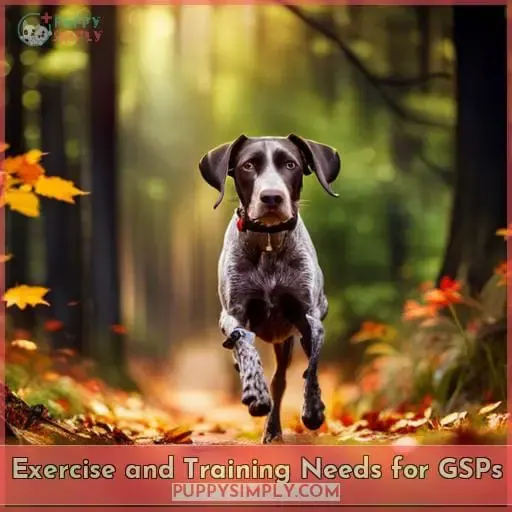 Exercise and Training Needs for GSPs