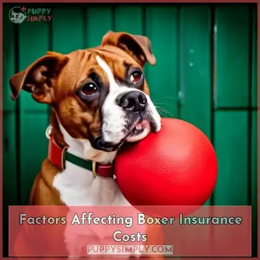 Factors Affecting Boxer Insurance Costs