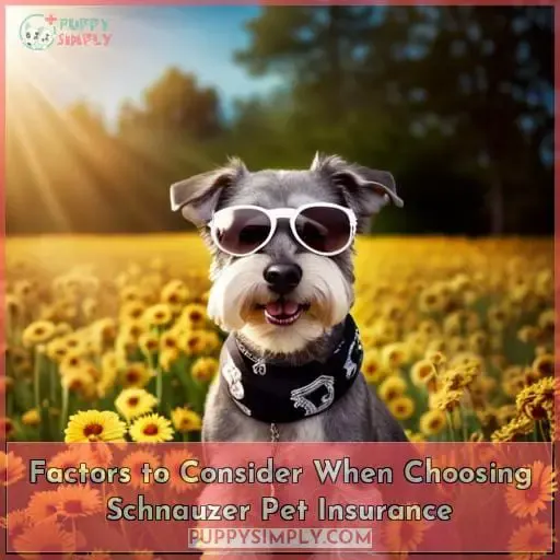 Factors to Consider When Choosing Schnauzer Pet Insurance