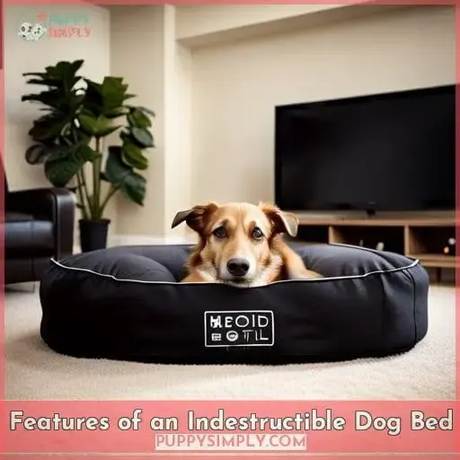 Features of an Indestructible Dog Bed