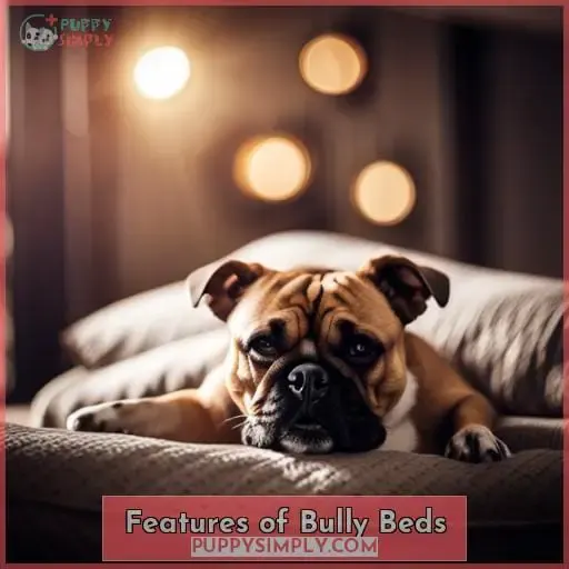 Features of Bully Beds
