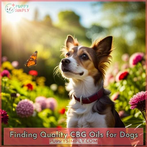 Finding Quality CBG Oils for Dogs