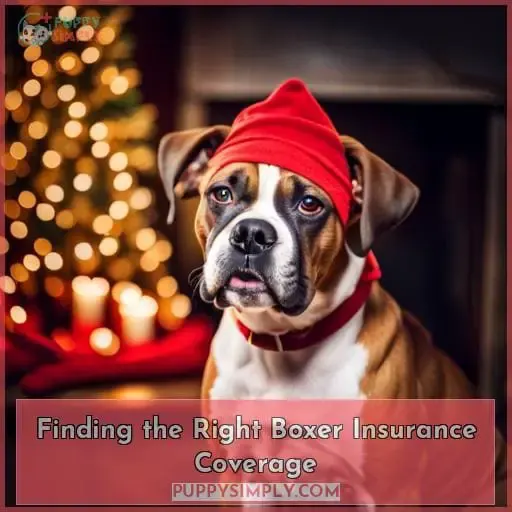 Finding the Right Boxer Insurance Coverage