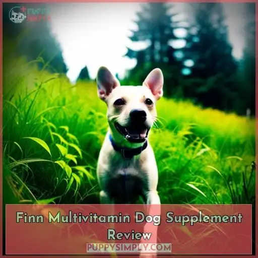 Finn Multivitamin Dog Supplement Review