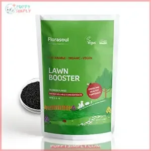 Florasoul Organic Lawn Fertilizer, Eco-Pet