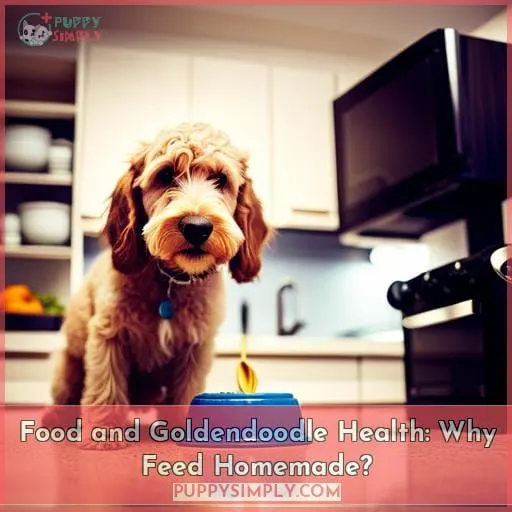 Food and Goldendoodle Health: Why Feed Homemade