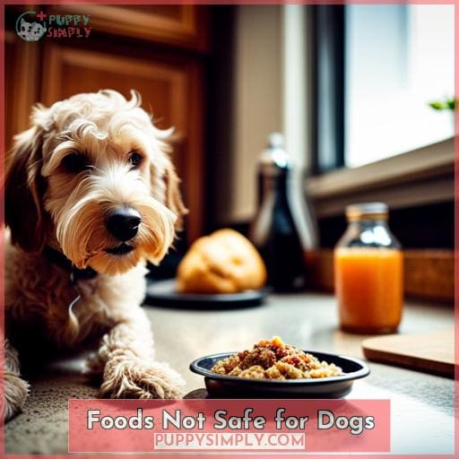 Foods Not Safe for Dogs