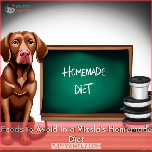 Foods to Avoid in a Vizsla