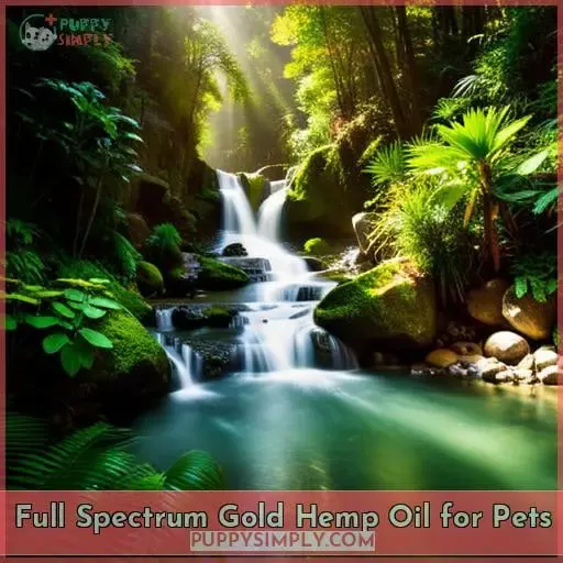 Full Spectrum Gold Hemp Oil for Pets
