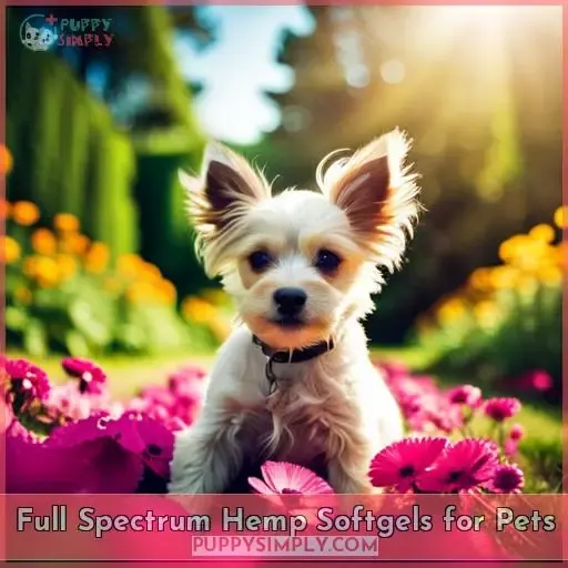 Full Spectrum Hemp Softgels for Pets