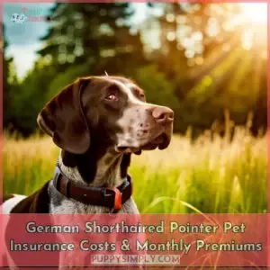 german shorthaired pointers pet insurance