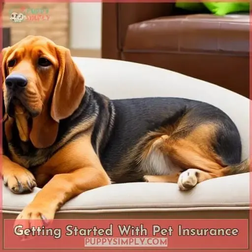 Getting Started With Pet Insurance