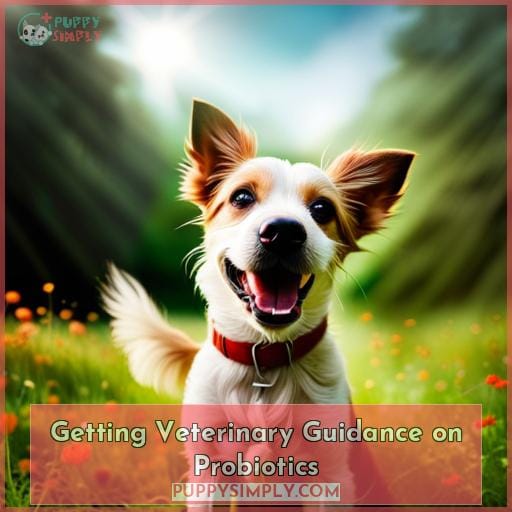 Getting Veterinary Guidance on Probiotics