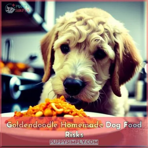 Goldendoodle Homemade Dog Food Risks