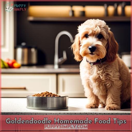 Goldendoodle Homemade Food Tips