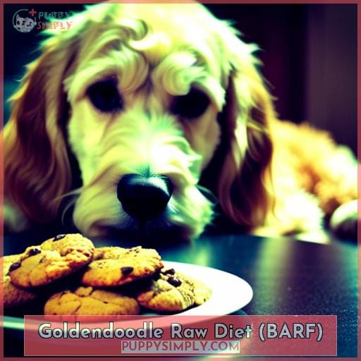 Goldendoodle Raw Diet (BARF)