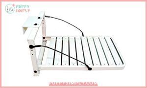 Great Day Load-A-Pup 14x20in Pet-Loading B00303YT6K