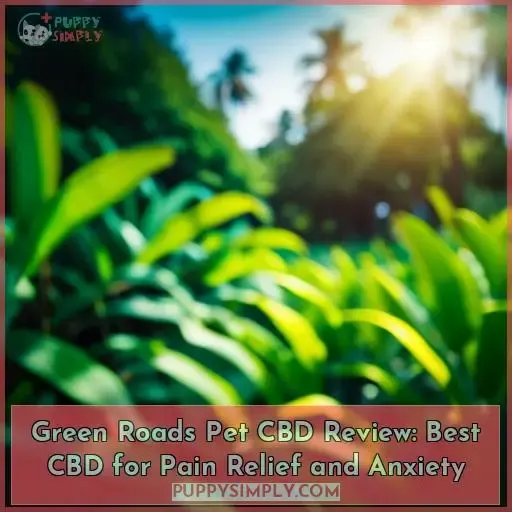 green roads pet cbd review