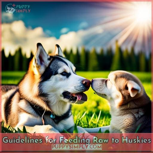 Guidelines for Feeding Raw to Huskies