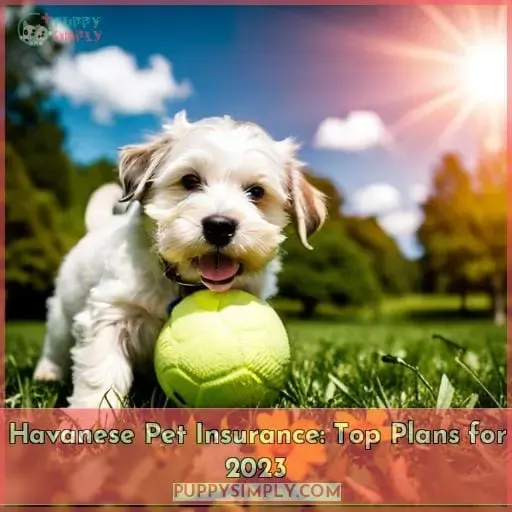 havanese pet insurance