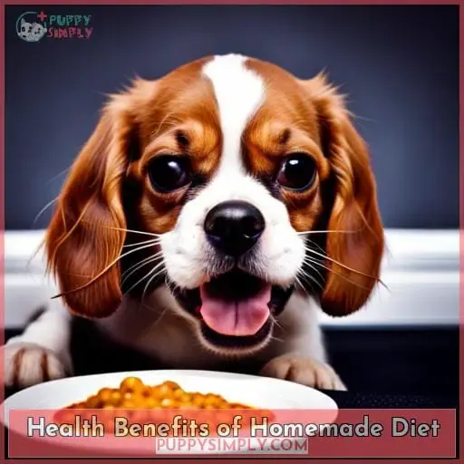 Health Benefits of Homemade Diet