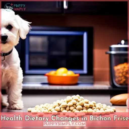 Health Dietary Changes in Bichon Frise
