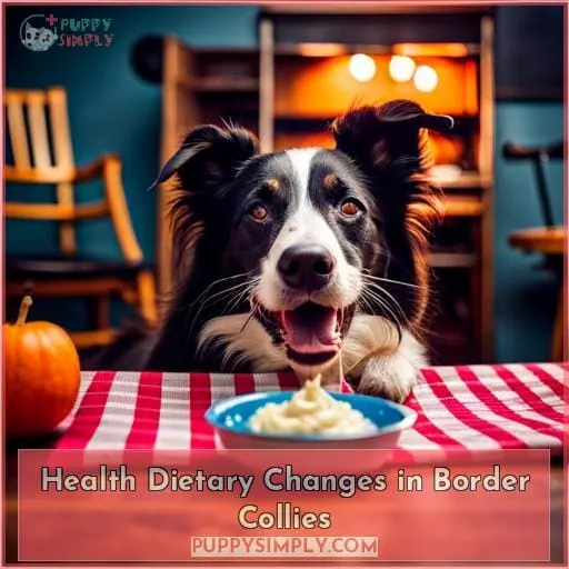 Health Dietary Changes in Border Collies