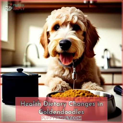 Health Dietary Changes in Goldendoodles