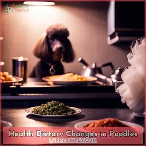 Health Dietary Changes in Poodles