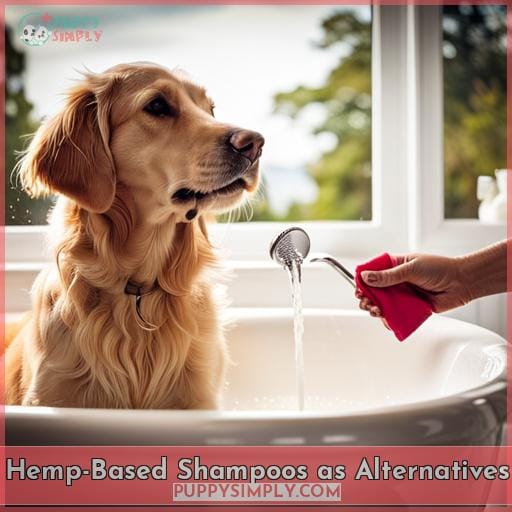 Hemp-Based Shampoos as Alternatives
