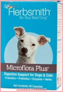 Herbsmith Microflora Plus for Digestion