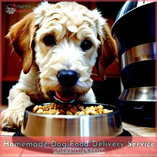 Homemade Dog Food Delivery Service