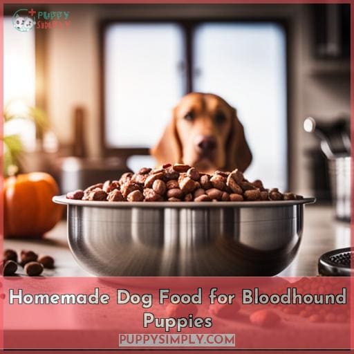 Homemade Dog Food for Bloodhound Puppies