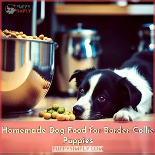Homemade Dog Food for Border Collie Puppies