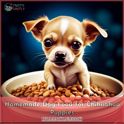 Homemade Dog Food for Chihuahua Puppies