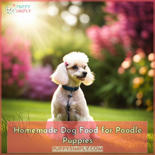 Homemade Dog Food for Poodle Puppies