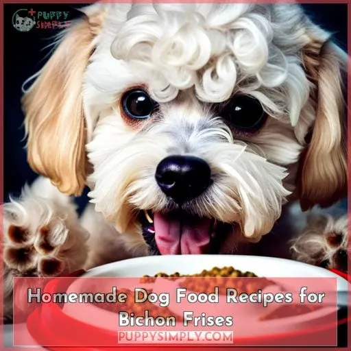 Homemade Dog Food Recipes for Bichon Frises