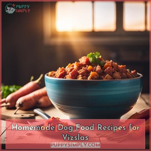 Homemade Dog Food Recipes for Vizslas