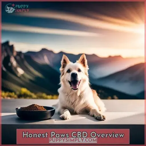 Honest Paws CBD Overview