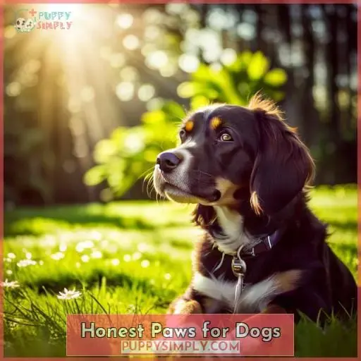 Honest Paws for Dogs